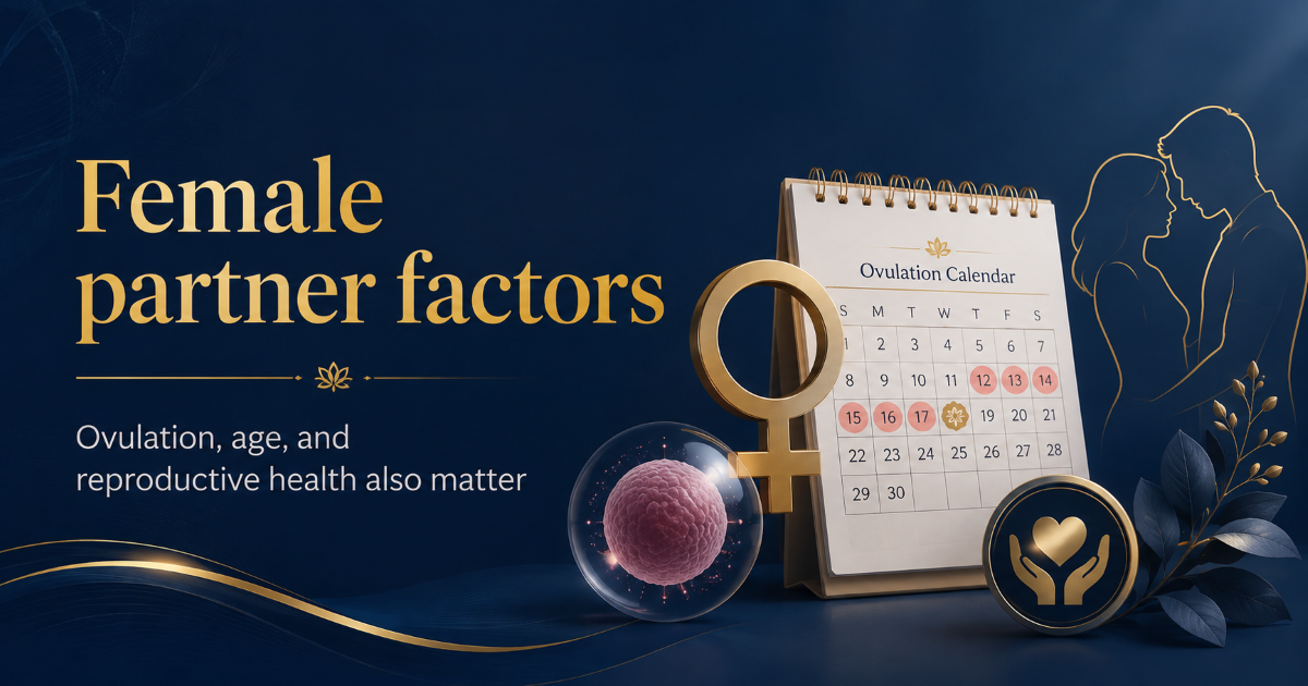 Female partner factors and couple-based fertility assessment