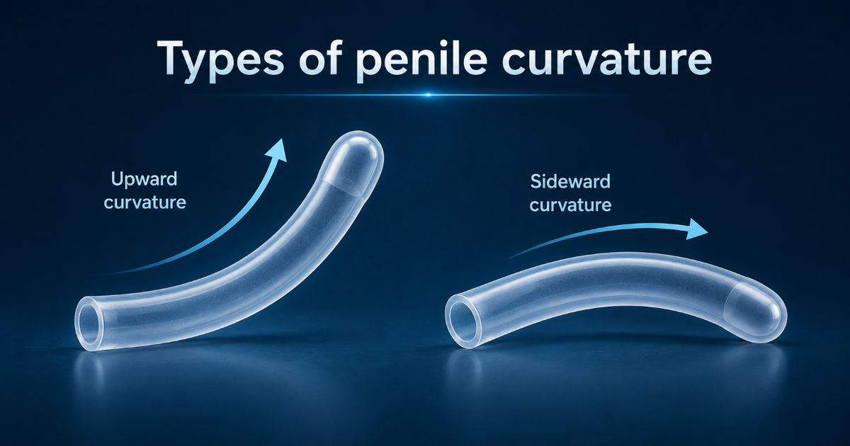 Types of penile curvature and bent penis causes